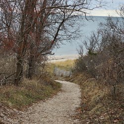 Path to the water