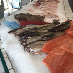 Havnens Røgeri - Fisk og Skaldyr