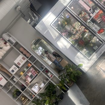 Adore Coffee House - Coffee & Tea Near Me - San Diego, California Adore Coffee House - Coffee & Tea Near Me - San Diego, California
