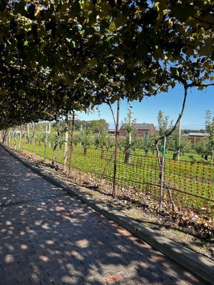 Belkin Family Lookout Farm - U-Pick Orchard - Taproom, Outdoor Dining and Market by null