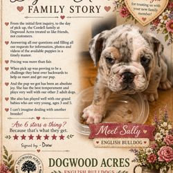 Dogwood Acres Labradors