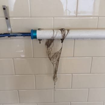 Embassy Suites by Hilton Chicago Downtown Magnificent Mile - Glob of hair taken from the dirty pool at Embassy Suites after it was cleaned. My husband used a pole to remove the hair - Hotels Near Me - Chicago, Illinois