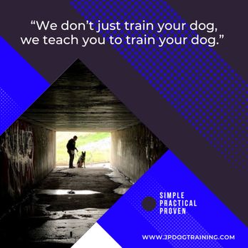 JP Dog Training - Pet Training Near Me JP Dog Training - Pet Training Near Me