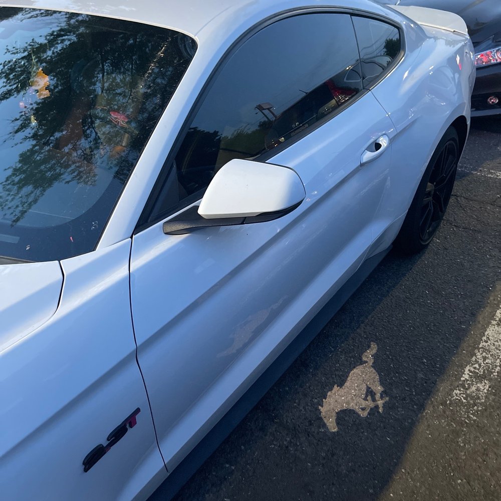 Zero Limit Tinting - Mustang 20% Tint - Car Window Tinting Near Me - Charlotte, North Carolina Zero Limit Tinting - Mustang 20% Tint - Car Window Tinting Near Me - Charlotte, North Carolina