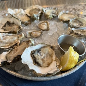 Taylor Shellfish Oyster Bar - The day's shuckers dozen - Seafood Near Me - Seattle, Washington