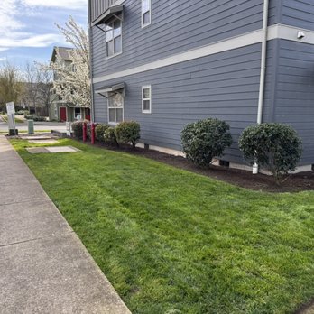 Synergy Landscape - Apartment maintenance. - Landscaping Near Me - Jefferson, Oregon Synergy Landscape - Apartment maintenance. - Landscaping Near Me - Jefferson, Oregon