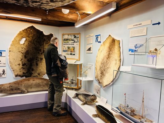 The Polar Museum by null