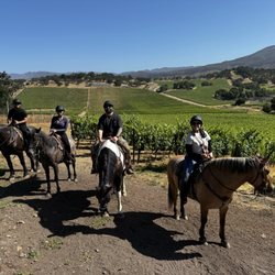 Napa Valley Trail Rides