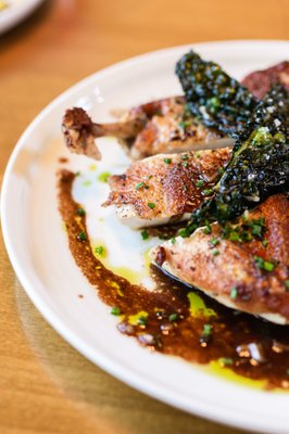 The Lime Lite by null