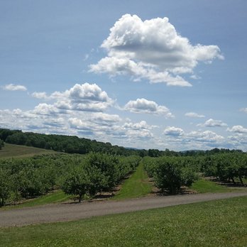 Lawrence Farms Orchards - View - Pick Your Own Farms Near Me - Newburgh, New York Lawrence Farms Orchards - View - Pick Your Own Farms Near Me - Newburgh, New York