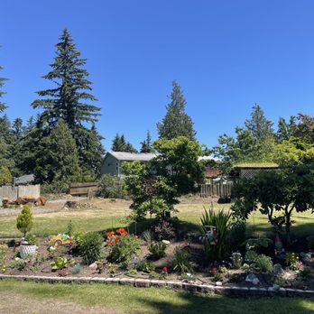 Hanson Tree Service - After: All trees, branches and debris gone. Meticulous clean up. - Tree Services Near Me Hanson Tree Service - After: All trees, branches and debris gone. Meticulous clean up. - Tree Services Near Me