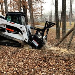 Freedom Land Management - Forestry Mulcher in action