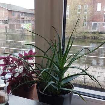 Kaffeeliebe - Cafes Near Me - Hamburg, HH