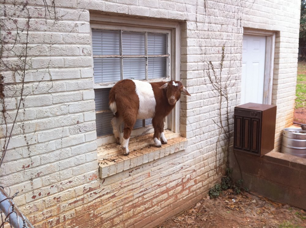 Slide of The Roof Factory