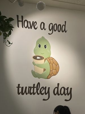 Sipping Turtle Cafe by null