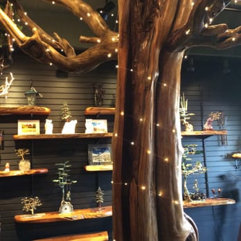 Sedona's Tree House - Sedona's Tree House - Art Galleries Near Me - Sedona, Arizona Sedona's Tree House - Sedona's Tree House - Art Galleries Near Me - Sedona, Arizona