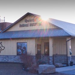 Quinte Animal Hospital
