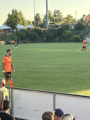 Championship Soccer Stadium by null