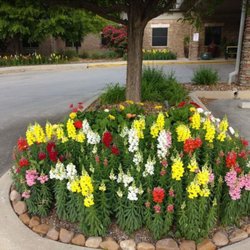 Silver Tree Nursing and Rehabilitation