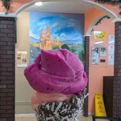 La Flor de Michoacan - Dragon fruit & Guava