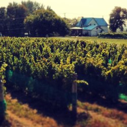 Harwood Estate Winery Brewery Bistro Inn