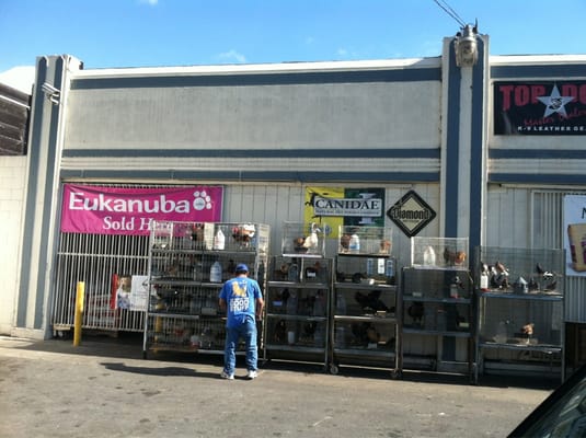 Boone's Feed by null