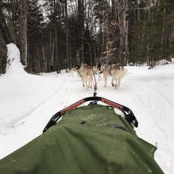 Husky Works Mushing Company
