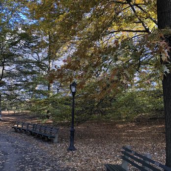 Central Park Conservancy - A Beautiful November Morning (11/25/19) - Parks Near Me - New York, New York Central Park Conservancy - A Beautiful November Morning (11/25/19) - Parks Near Me - New York, New York
