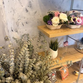 Project Bloom Coffee - Florals - Coffee & Tea Near Me - Los Angeles, California