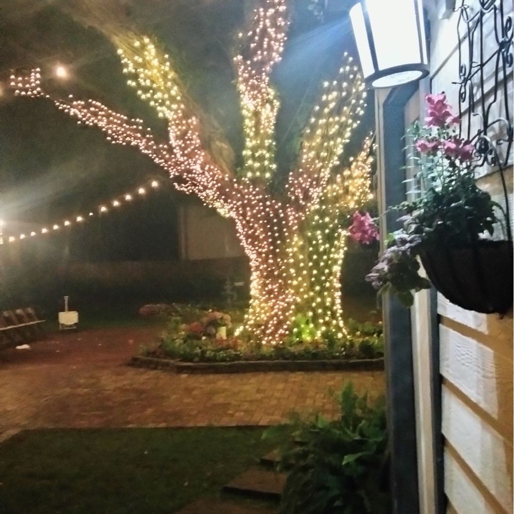 Oak Tree Manor - Bed & Breakfast Near Me - Spring, Texas Oak Tree Manor - Bed & Breakfast Near Me - Spring, Texas