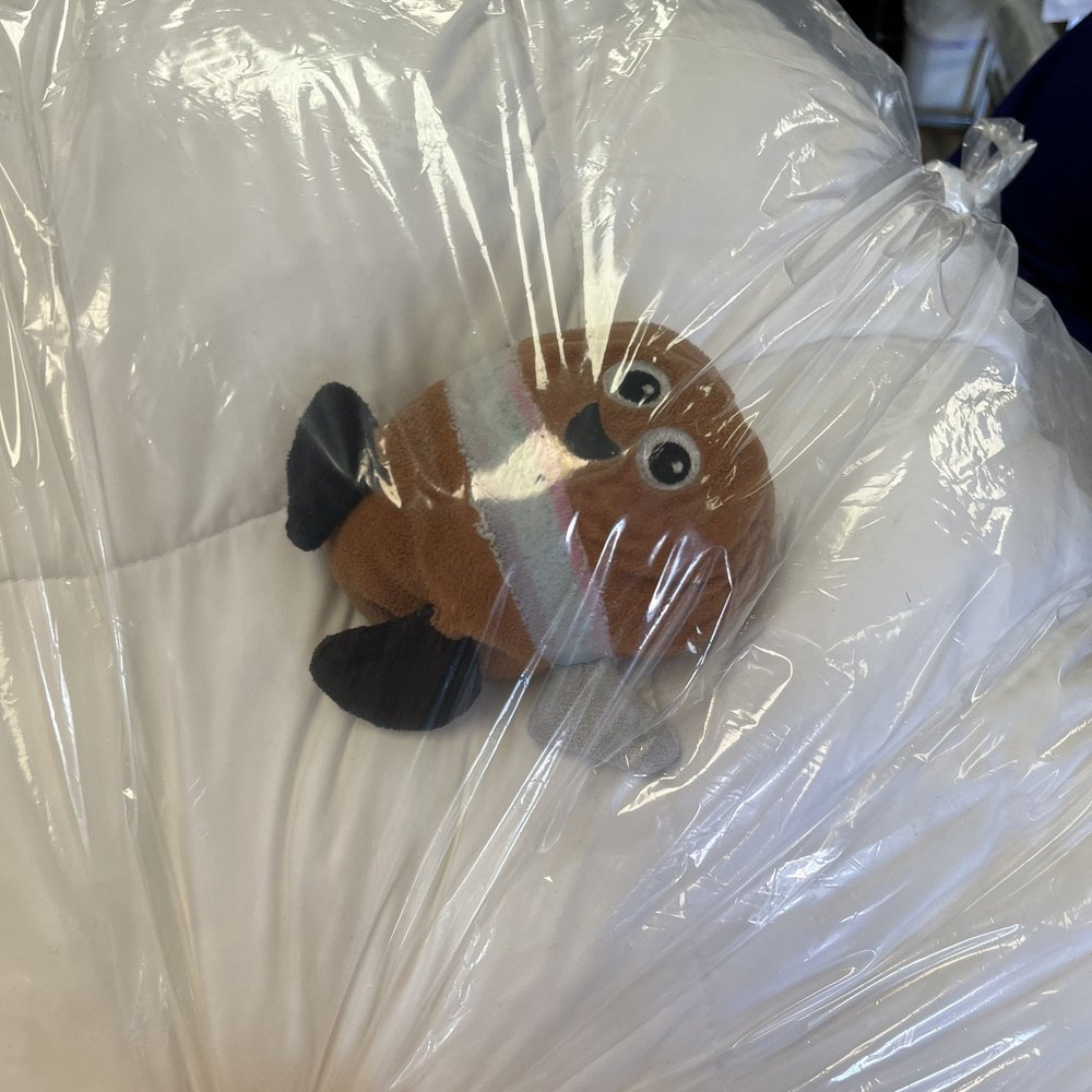 My sons toy was cleaned too My sons toy was cleaned too