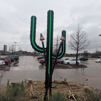 Neon Cactus - The rare and endangered Neon Cactus. Rarely seen in north Texas - Salad Near Me - Fairview, Texas