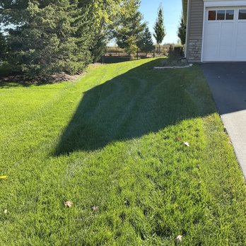 Weiss Lawn Care - Side Yard - Pest Control Near Me - Carol Stream, Illinois Weiss Lawn Care - Side Yard - Pest Control Near Me - Carol Stream, Illinois