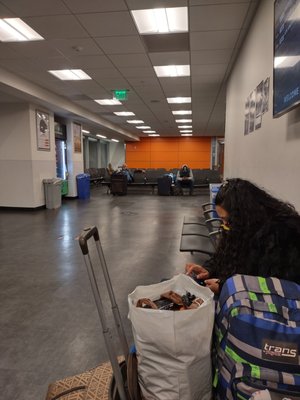 Greyhound Shop by null