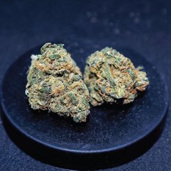 Bahama Buds