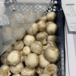 Makro Manchester Store - They are click and collect now but this is what they give. Old stock
