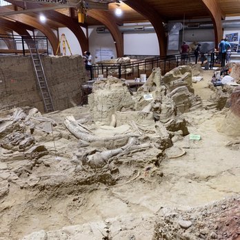 The Mammoth Site - An actual working dig site! - Museums Near Me - Hot Springs, South Dakota The Mammoth Site - An actual working dig site! - Museums Near Me - Hot Springs, South Dakota