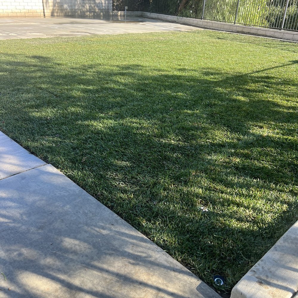 Green Ivy Maintenance - Landscaping Near Me