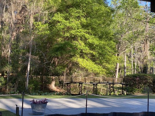 Okefenokee Swamp Park by null