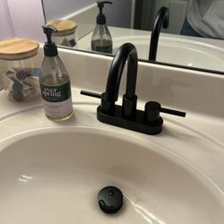 Handyman 502 - Two new faucets for a double sink - thank you Evan!