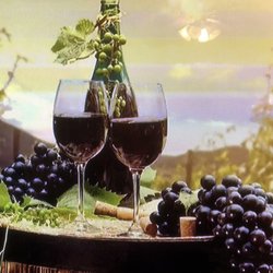 Austin Elite Transportation - Take a relaxing group of friends on a Wine tour Call 512-362-8600