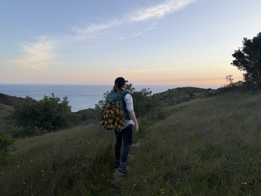 Andrew Molera State Park by null