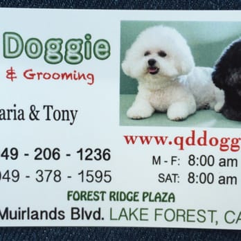 Q d Doggie - Bella & Bentley getting their spa treatment this morning. - Pet Groomers Near Me - Lake Forest, California