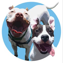 Leroy and Company
