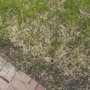 Photo of D & G Landscaping