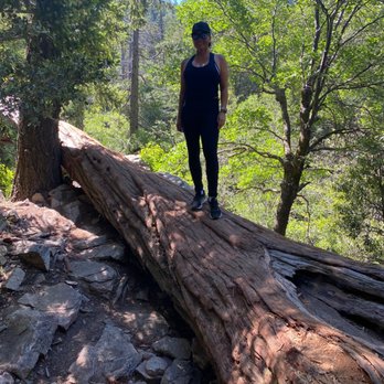 Heart Rock - 5/27/20 At the log I could easily stand on & it's just before the nxt log & two paths; right path leads to Heart Rock - Hiking Near Me - Crestline, California