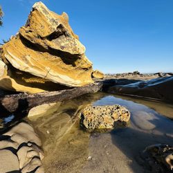 Shoreline Park - Beautiful rock formations