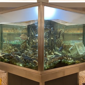 OndaMar - Live seafood - Cafes Near Me - Lourinhã, 11 OndaMar - Live seafood - Cafes Near Me - Lourinhã, 11