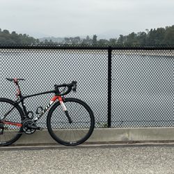 Giant Santa Monica