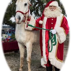 Save Them All Horse Rescue